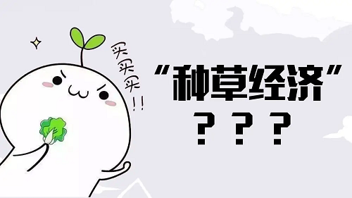 種草是什么意思？小紅書上如何種草？